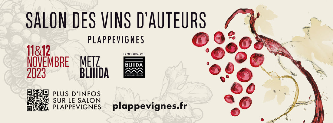 Plappevignes - Metz 11 & 12 novembre
