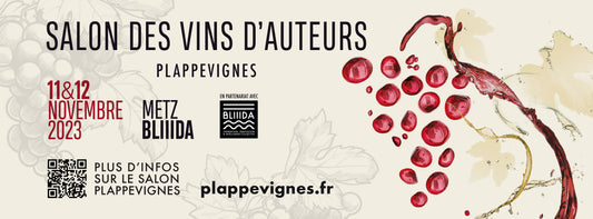 Plappevignes - Metz 11 & 12 novembre